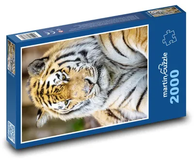 Obrázek produktu pro martinpuzzle - Puzzle 2000 - Tygr
