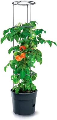 Produktbild von Famanu Blumentopf für Tomatenpflanzen - Antrazit, 39,2 x 39,2 x 31,5-153 cm
