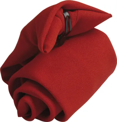 Image de Cravate clip-on Premier pour homme, unie (2 pièces/paquet) RW6936 (taille unique) (Rouge)