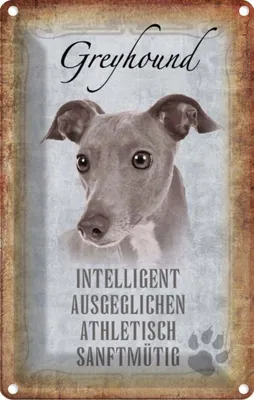 Produktbild von vianmo Blechschild 30x20 cm Greyhound Hund Tier Haustier