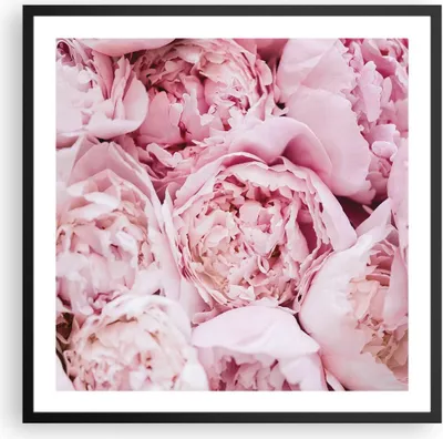Produktbild von Gerahmtes Poster - Schwarzer Rahmen - Blumenstrauß Blumen Rosa - 60x60 cm - Wand Bild - Wanddeko - Wandbilder - Kunstposter - Wandposter - Bilderrahmen - Bilder - Kunstdruck - P2BAC60x60-5001