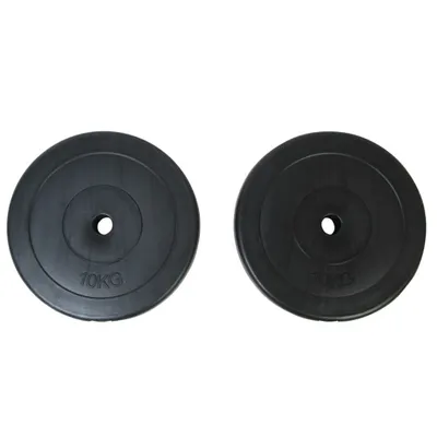 Immagine prodotto di vidaXL Pesi 2 piastre di peso 10 kg