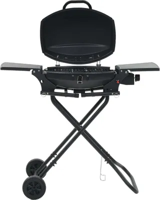 Produktbild von Gasgrill Tragbar mit Kochzone Schwarz