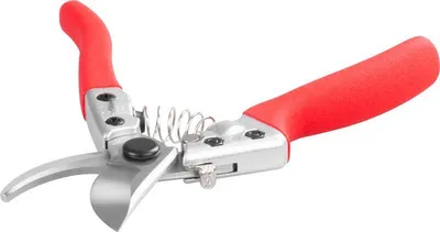 Immagine prodotto di Forbici Strend Pro Premium 3170, 210 mm, da giardino, per uva e rami, per viticoltori