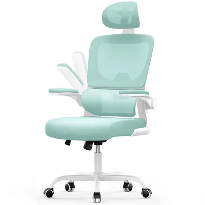 Image de Chaise de bureau ergonomique, hauteur d'assise de 53 cm, avec soutien lombaire élastique, Vert
