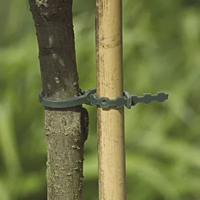 Immagine prodotto di Confezione da 40 fascette per alberi NORTENE, 0 g/m², 0,15 m