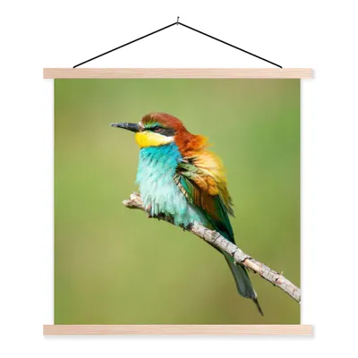 Produktbild von MuchoWow® Textilposter Vogel - Tiere - Bienenfresser 120x120 cm mit holzfarbenen Rahmen - Textil-Poster