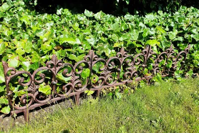 Beetzaun Gusseisen