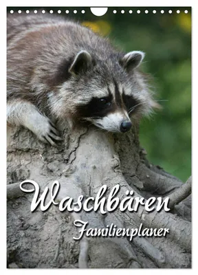 Produktbild von Waschbären Familienplaner (Wandkalender 2027 DIN A4 hoch), CALVENDO Monatskalender