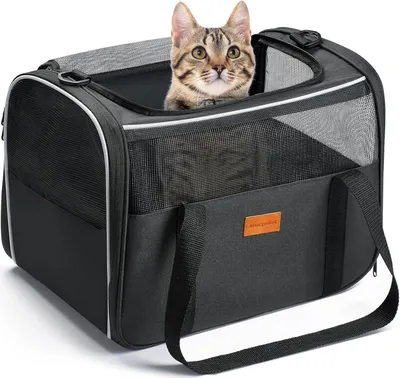 Produktbild von Morpilot Katzentransportbox für Katzen und Welpen bis 5kg, Katzenbox Hundetasche