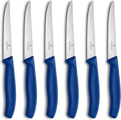 Image de Set de couteaux à steak professionnels, en plastique, 6 pièces, très tranchants, dentelés, 11 cm, bleu