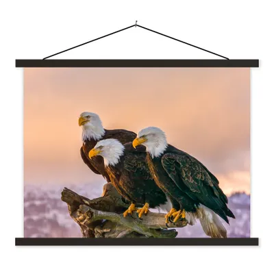 Produktbild von MuchoWow® Textilposter Vögel - Natur - Raubvögel - Adler 40x30 cm mit schwarzem Rahmen - Dekorationen