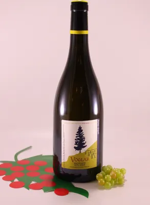 Produktbild von Sauvignon Voglar - 2022 - Weingut Peter Dipoli