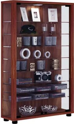 Immagine prodotto di Vetrina in piedi | Vetro con vetro di sicurezza ESG | Dimensioni ca. H. 90 x W. 59 x D. 18 cm | Vetro per stand | Moderno e salvaspazio | Espositore in vetro – Lumo Mini