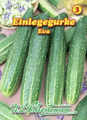 Produktbild von Einlegegurke Eva | Einlegegurkensamen von N.L. Chrestensen