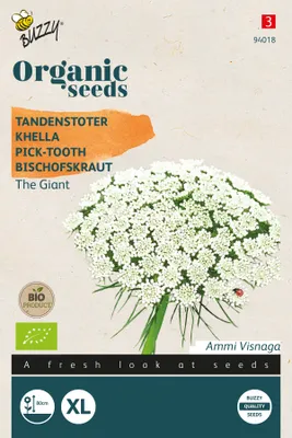 Produktbild von Bischofskraut The Giant |  Krautsamen von Buzzy Seeds [MHD 07/2024]