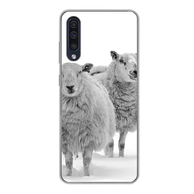 Produktbild von MuchoWow® Handyhülle Schutzhülle Hülle für Samsung Galaxy A50 Schafe - Schnee - Weiß Silikon Softcase Handy Hülle - Mobiltelefonhülle