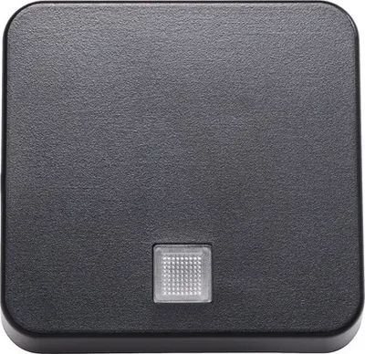 Produktbild von ROTH LANGE 57339 Wippe Kontroll mit Kalotte Abdeckung für Schalter Basic schwarzgrau