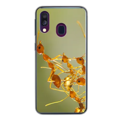 Produktbild von MuchoWow® Handyhülle Schutzhülle Hülle für Samsung Galaxy A40 Ameisen - Orange - Tiere Silikon Softcase Handy Hülle - Handy-Tasche