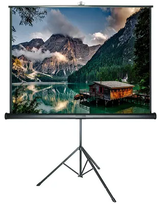 Produktbild von DELUXX Advanced Stativleinwand 1:1 Mattweiss Polaro 172 x 172cm