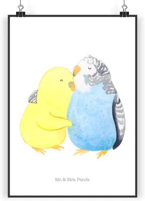 Produktbild von Mr. & Mrs. Panda Bild Wellensittich Liebe DIN A5 - Weiß - Geschenk, Umarmung, Deko, Vögel, Kunstdruck, drucke, Umarmen, wanddeko, Verknallt, Verliebt, Freundin, Wandbild