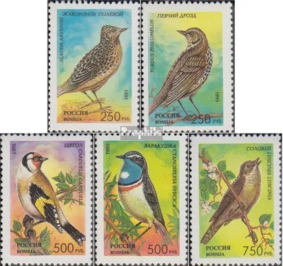 Produktbild von Briefmarken Russland 1995 Mi 440-444 (kompl.Ausg.) postfrisch Singvögel