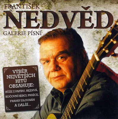 Obrázek produktu pro František Nedvěd - Galerie Písní (2 CD)