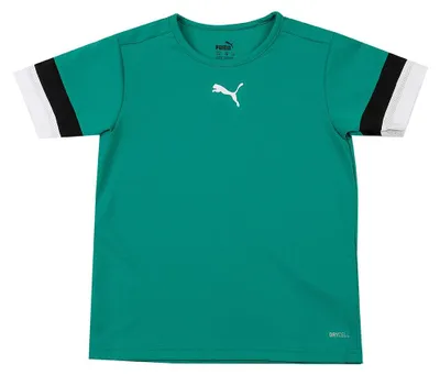 Produktbild von PUMA Unisex Kinder Teamrise Jersey Jr Shirt, Pepper Green-puma Black-puma White,