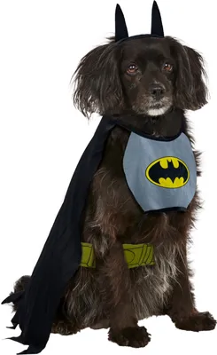 Produktbild von Rubie‘s Official Batman-Kostüm für Hunde, Größe L