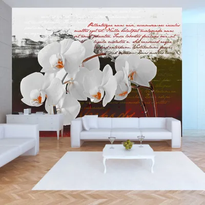 Produktbild von Basera Fototapete Orchideenmotiv 10110906-7, Vliestapete, 150x105 cm