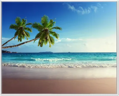 Produktbild von Wallario Wandbild Sandstrand auf den Seychellen - Urlaub unter Palmen, Größe: 40,30 x 50,30 cm, Poster mit weißem Aluminiumrahmen