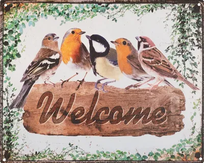 Zdjęcie produktu dla Moritz blaszany znak 25 x 20 cm znak powitalny ptaki dekoracja metalowy znak retro vintage retro powiedzenia śmieszne