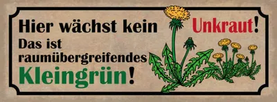Produktbild von vianmo Holzschild 10x27 cm wächst kein Unkraut kleingrün Dekoration