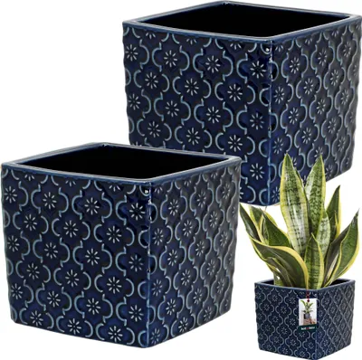 Two blue ceramic planters with a decorative pattern are shown, with a third planter containing a snake plant in the lower right corner.
