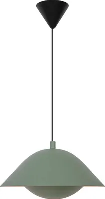 A pendant light fixture against a white background.