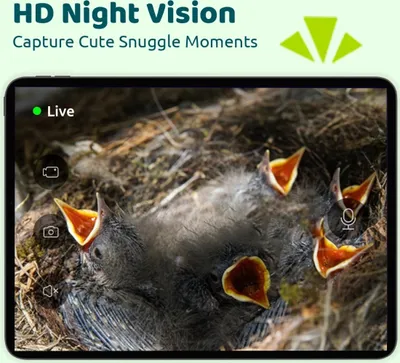 Image de Nichoir Birdfy avec caméra Ebony Lite Smart – Nichoir intelligent à énergie solaire avec reconnaissance des oiseaux par IA