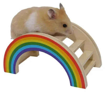 Obrázok produktu pre Hrací mostík Rainbow z ružového dreva