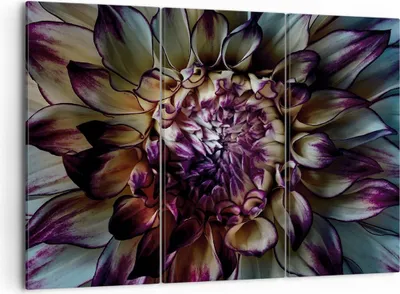 Produktbild von Bild auf Leinwand - Leinwandbild - 3 Teile - Blätter Agave Blume - 105x70cm - Wand Bild - Wanddeko - Wandbilder - Leinwanddruck - Bilder - Wanddekoration - Leinwand bilder - Wandbild - CE105x70-5122
