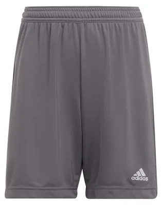 Produktbild von adidas Entrada 22 Shorts 128 TEGRFO