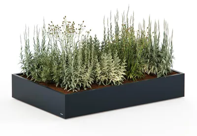 Produktbild von Herstera Garden Cube Low M Plus flacher Outdoor Pflanzkasten mit LED 150x25x100 cm