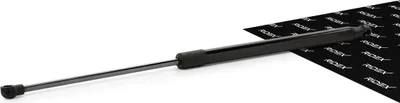 Produktbild von RIDEX 219G0253 Gasfeder Heckklappendämpfer für RENAULT LAGUNA III (BT0/1) 495mm