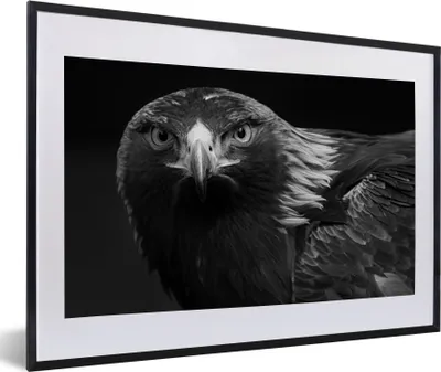 Produktbild von MuchoWow® Gerahmtes Poster Bussard - Vogel - Tiere - Schwarz - Weiß 60x40 cm - Poster mit Schwarzem Bilderrahmen Wandposter Rahmen Foto Bilder - Schlafzimmer - Plakat in Rahmen - Drucken