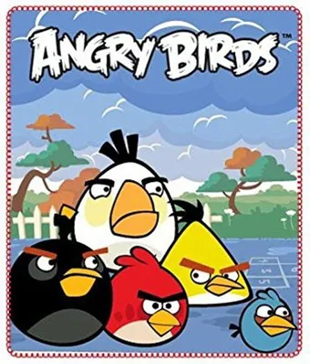 Produktbild von Angry Birds - Polar Fleecedecke 120x140cm