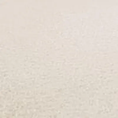 A close-up of a textured cream-colored surface, likely a rug or carpet.