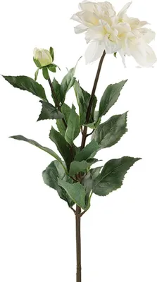 Produktbild von Fink DAHLIE, Kunstblume, Kunstfasern, weiß, H. 70 cm Höhe: 70.00 cm  181505