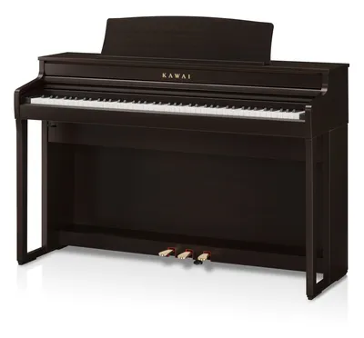 Immagine prodotto di Kawai CA401R