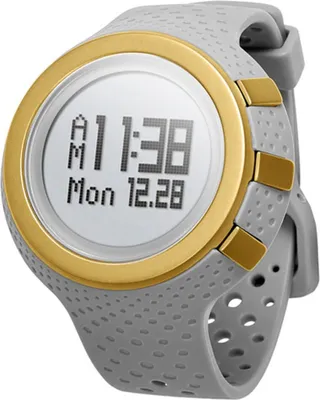 Image de [pas nouveau] Oregon Scientific RA900_G Ssmart Adventurer Montre de sport gris clair/or
