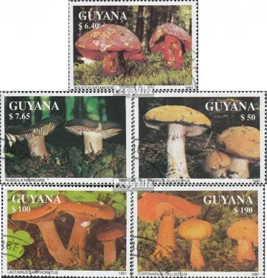 Produktbild von Briefmarken Guyana 1991 Mi 3680-3684 (kompl.Ausg.) gestempelt Pilze