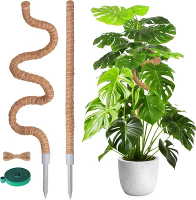 Image de Support en mousse pour Monstera, tuteur flexible pour plantes, 120 cm et 60 cm, lot de 2, pour plantes d'intérieur et d'extérieur