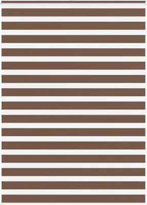 Produktbild von Doppelrollo Braun 160x230 cm Stoffbreite 155,9 cm Polyester